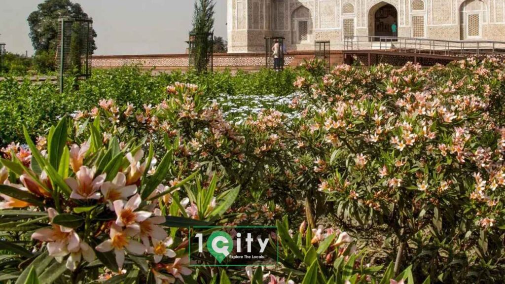 Mughal Garden Agra