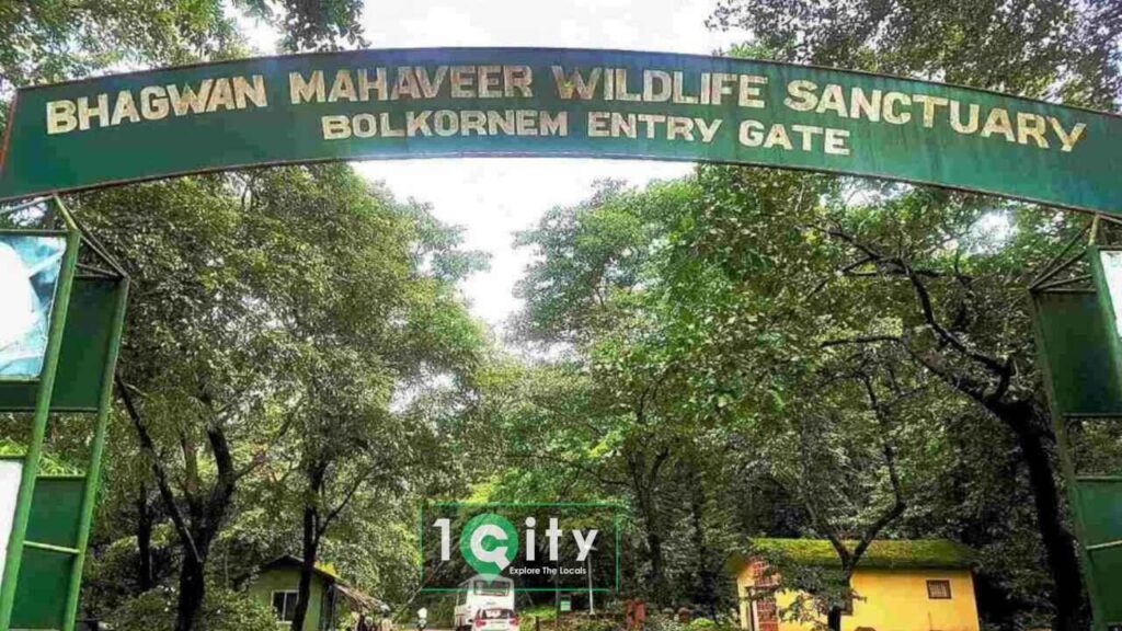 Bhagwan Mahavir Wildlife Sanctuary Goa