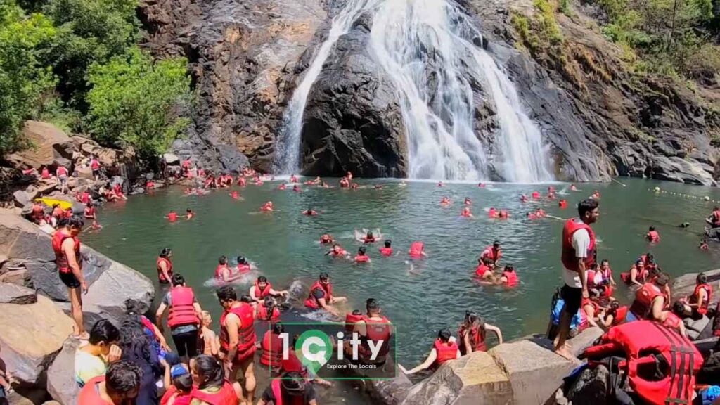 Dudhsagar Waterfalls Goa 