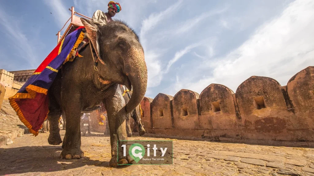 Elephant Rides In Amer Fort Jaipur