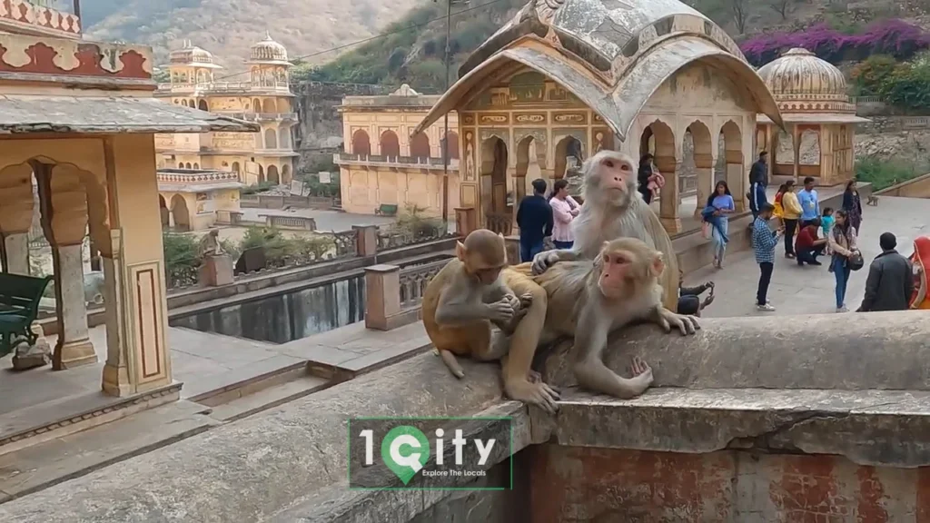 Galtaji Monkey Temple